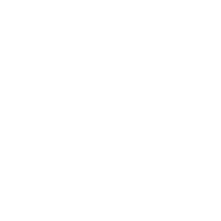 shared_vision
